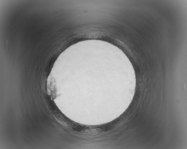 X0000082140307200702162149