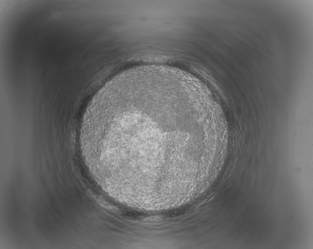 X0000082140309200702162149