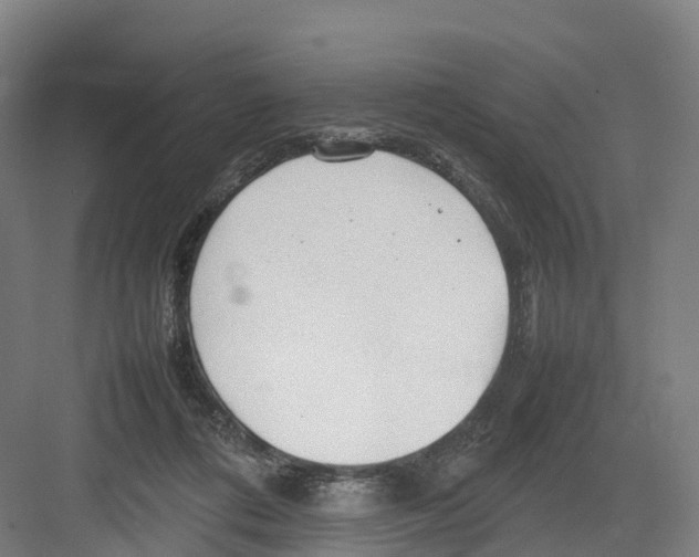 X0000082140312200702162149