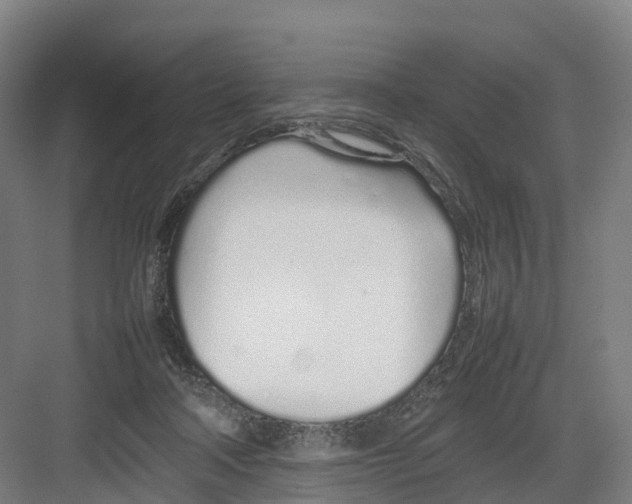 X0000082140314200702162149