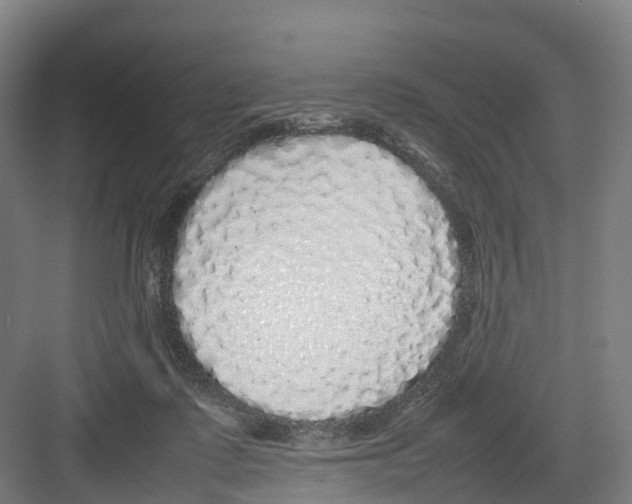 X0000082140315200702162149