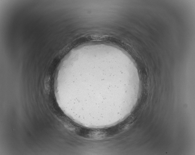 X0000082140319200702162149