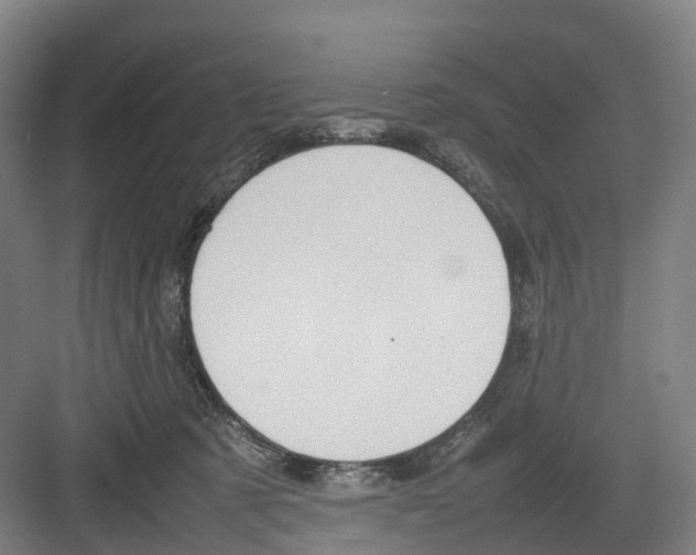 X0000082140321200702162149