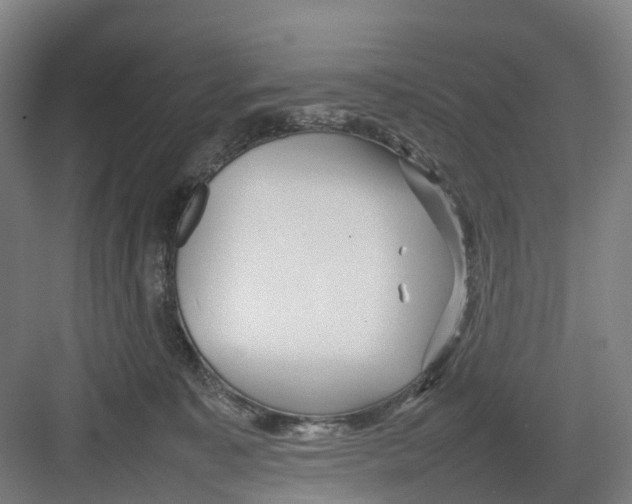 X0000082140323200702162149