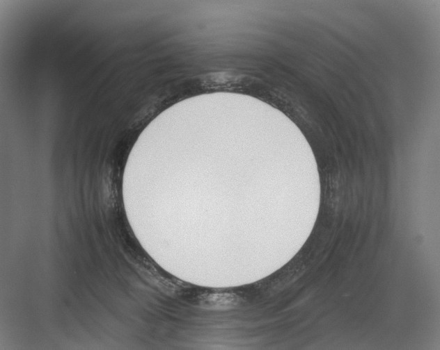 X0000082140324200702162149