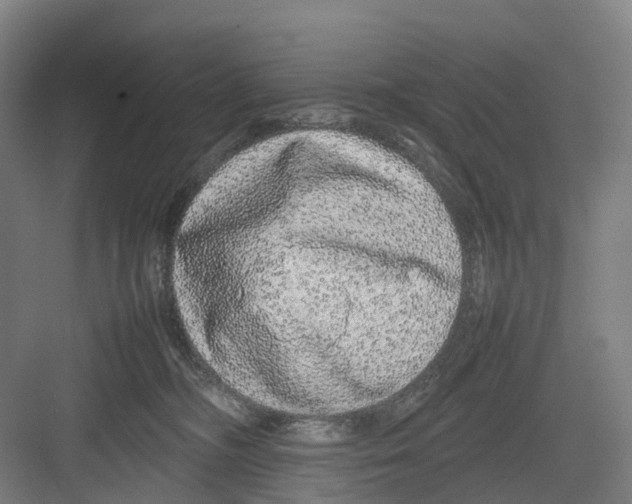 X0000082140326200702162149