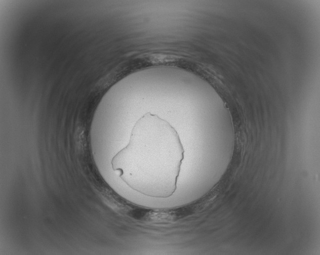 X0000082140327200702162149