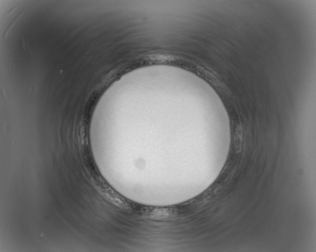 X0000082140330200702162149