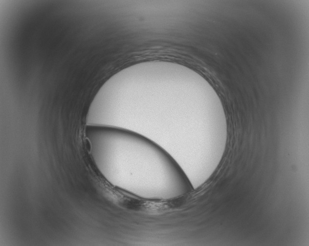 X0000082140333200702162149