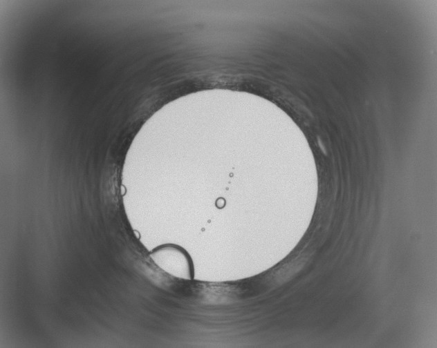 X0000082140336200702162149