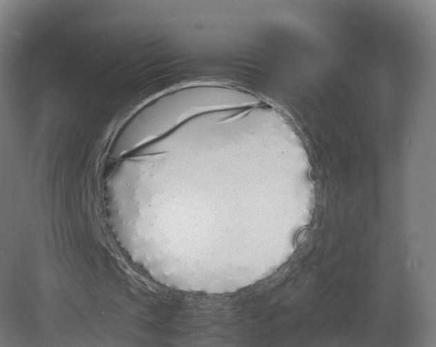 X0000082140337200702162148