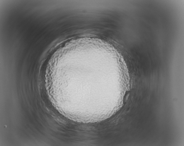 X0000082140339200702162148