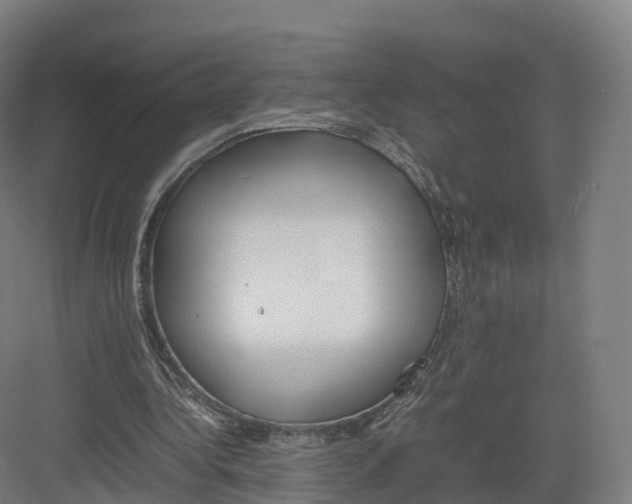 X0000082140340200702162148