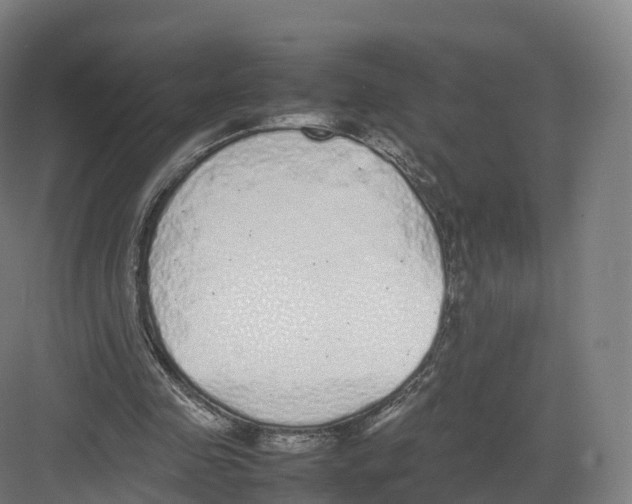 X0000082140341200702162148