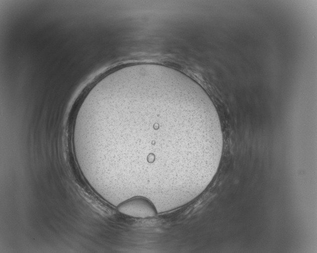 X0000082140342200702162148