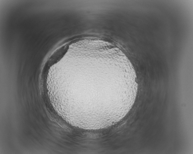 X0000082140343200702162148