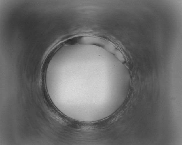 X0000082140344200702162148