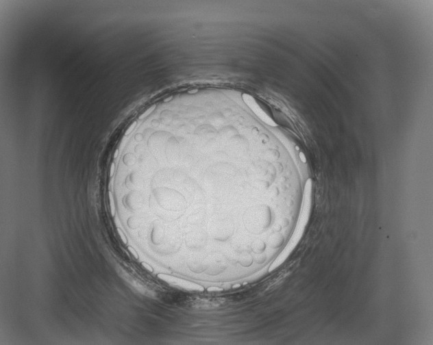 X0000082140346200702162148