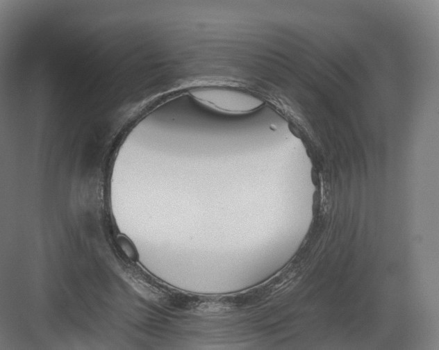 X0000082140348200702162148