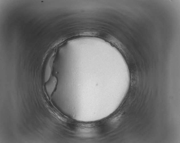 X0000082140349200702162148