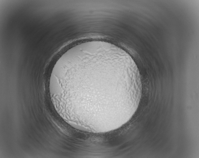 X0000082140350200702162148