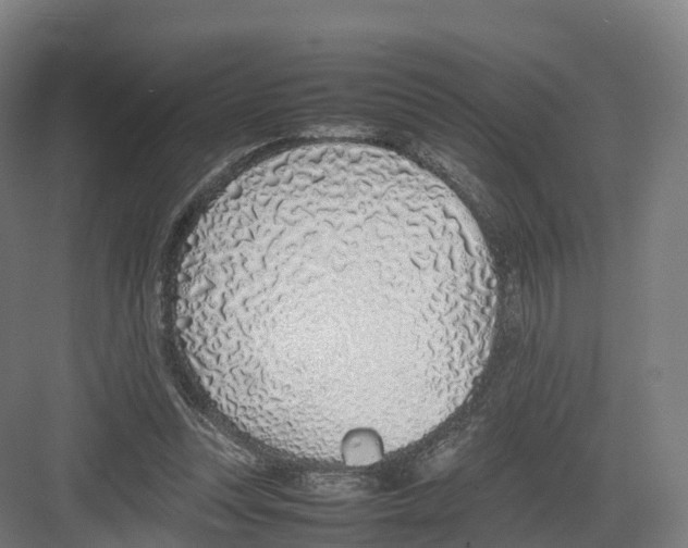 X0000082140351200702162148