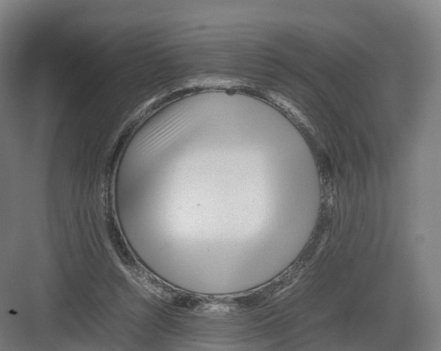 X0000082140352200702162148