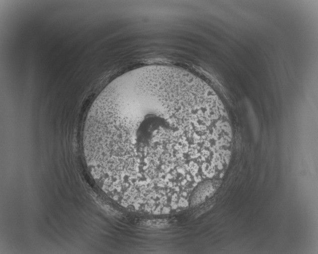 X0000082140353200702162148