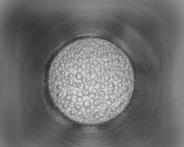 X0000082140354200702162148