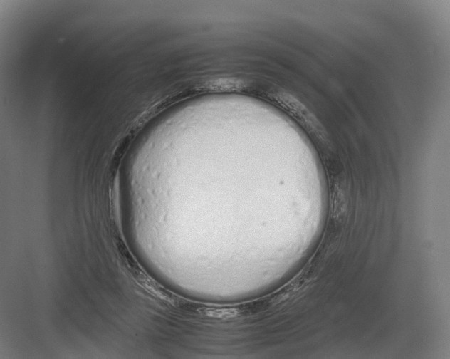 X0000082140355200702162148