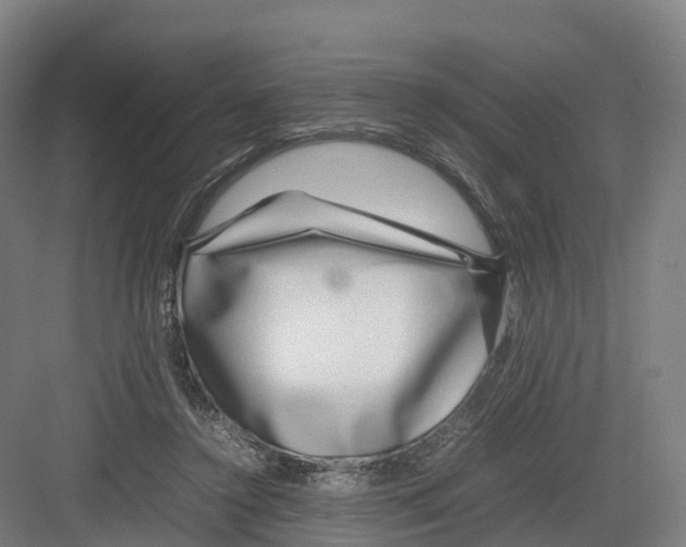 X0000082140356200702162148