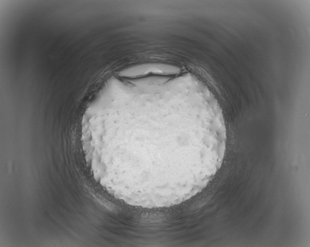 X0000082140357200702162148