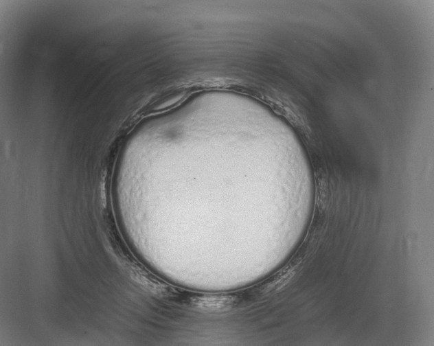 X0000082140358200702162148