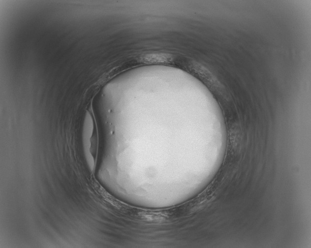 X0000082140359200702162148