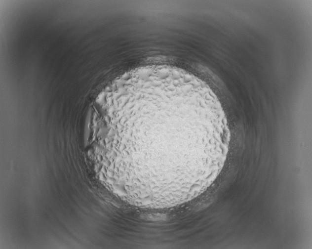 X0000082140361200702162149