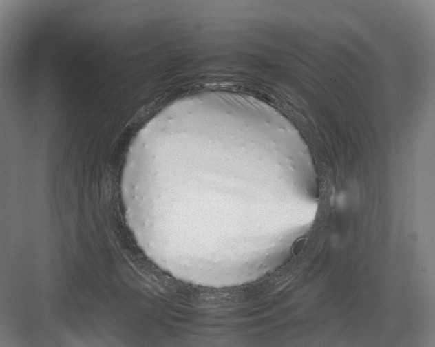 X0000082140367200702162149