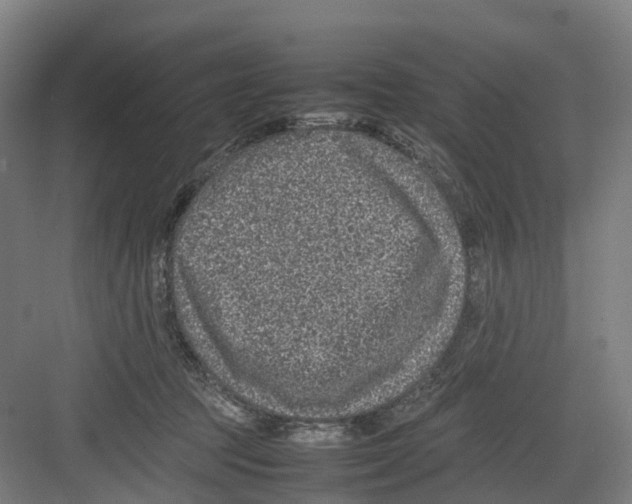 X0000082140369200702162149