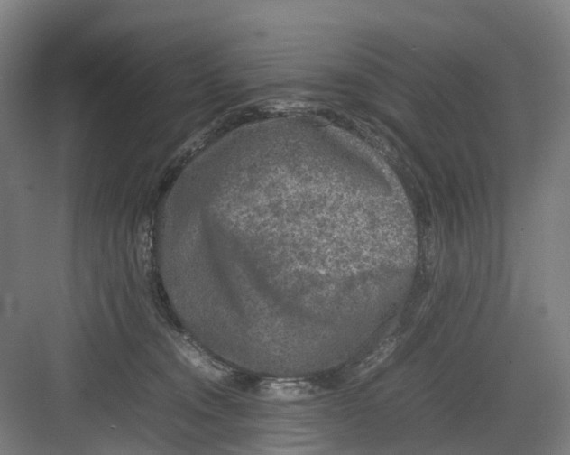 X0000082140372200702162149