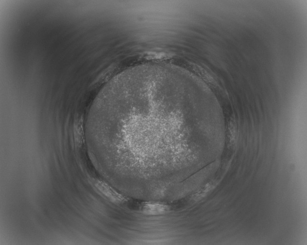 X0000082140376200702162149