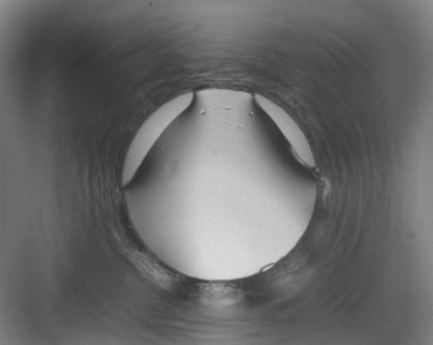 X0000082140380200702162149