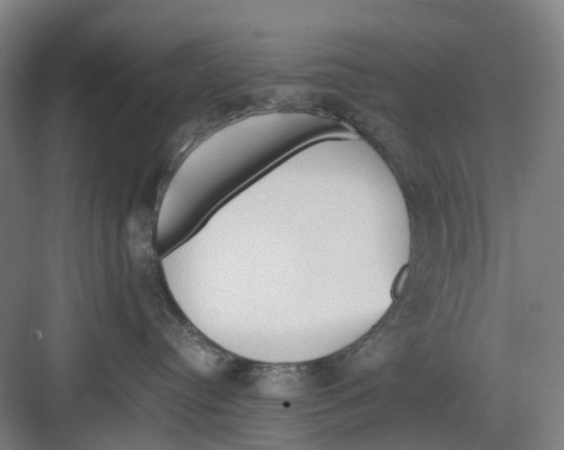 X0000082140384200702162149