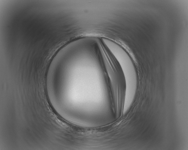 X0000082140385200702162148