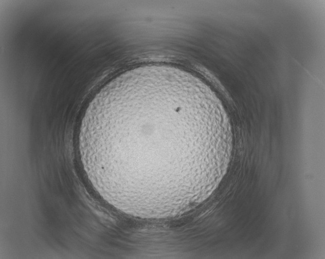 X0000082140386200702162148