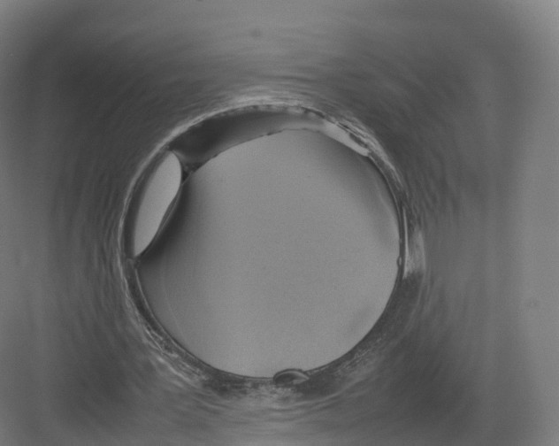 X0000082140387200702162148