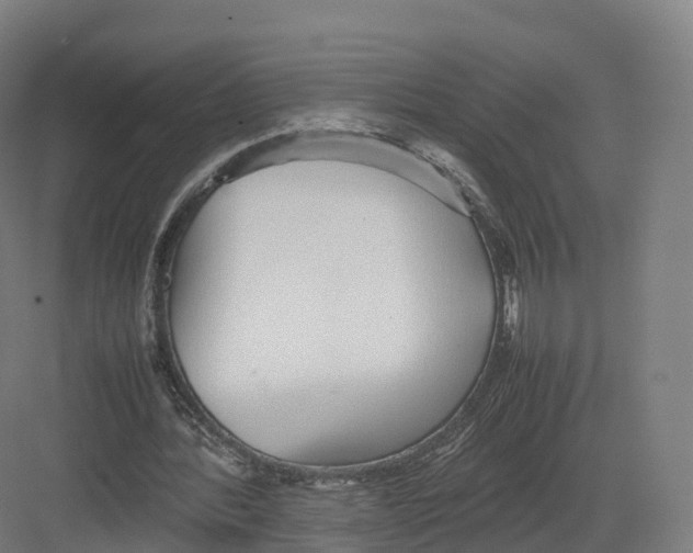 X0000082140388200702162148