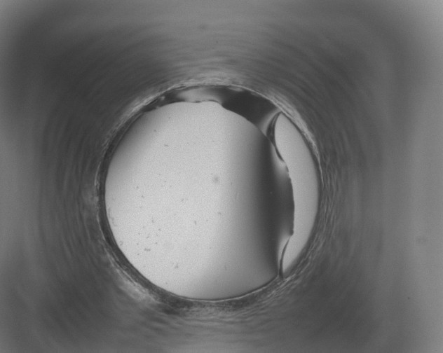 X0000082140389200702162148