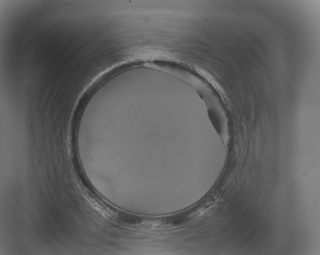 X0000082140391200702162148