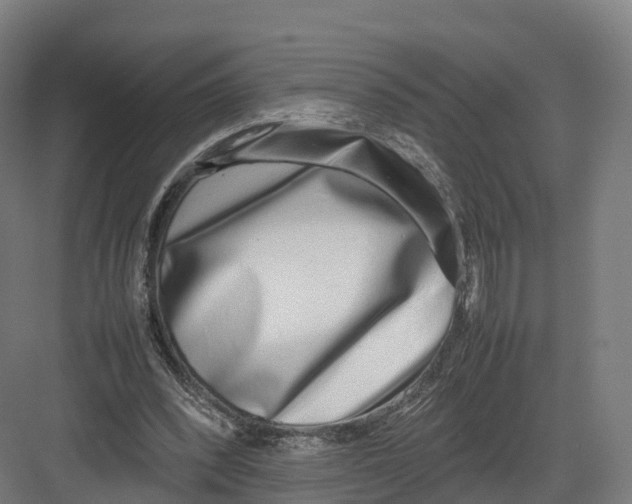 X0000082140392200702162148