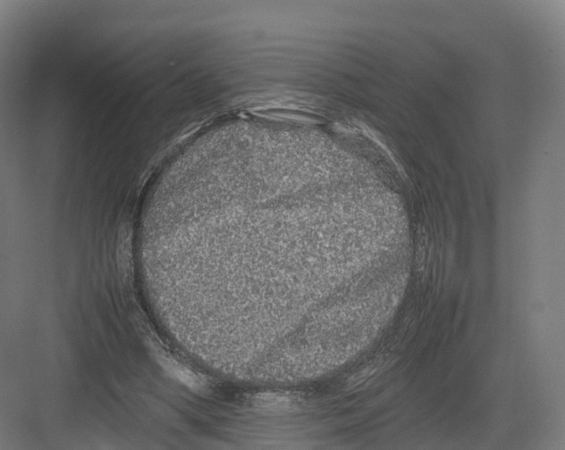 X0000082140394200702162148