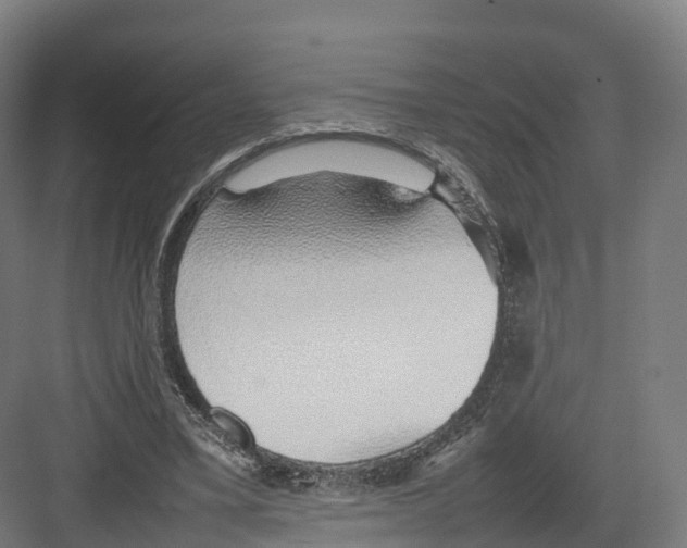 X0000082140395200702162148